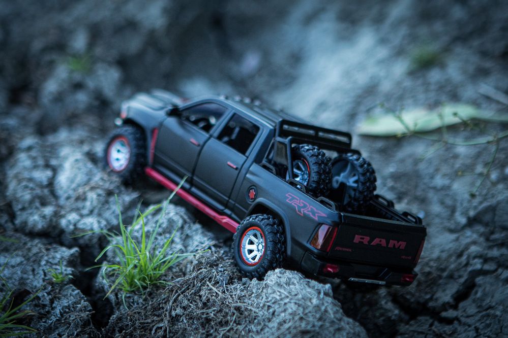 Photograph by Алёна Шелепова