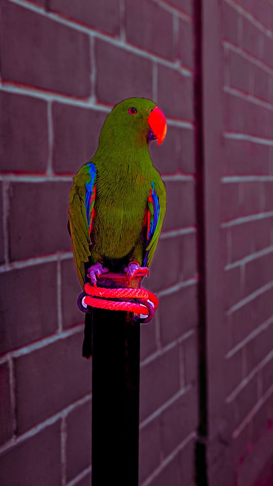 Photo #12544877