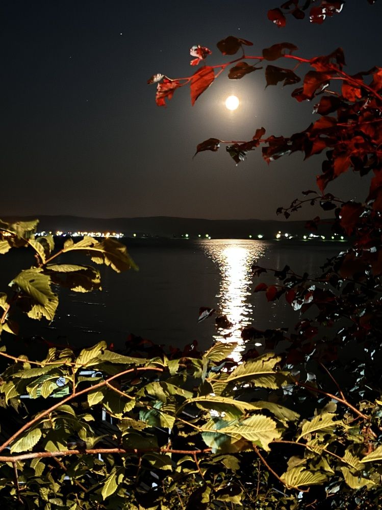 Photograph by Аверьянова Наталья