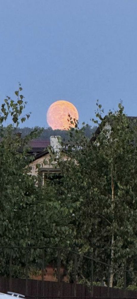 Photograph by Аверьянова Наталья