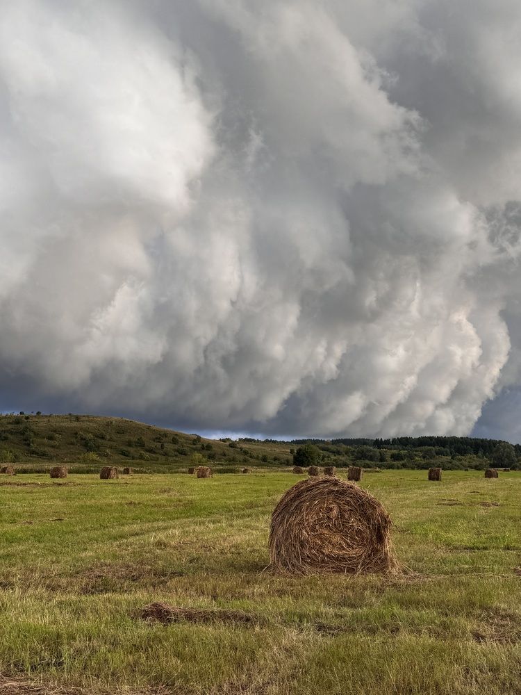 Photograph by Аверьянова Наталья