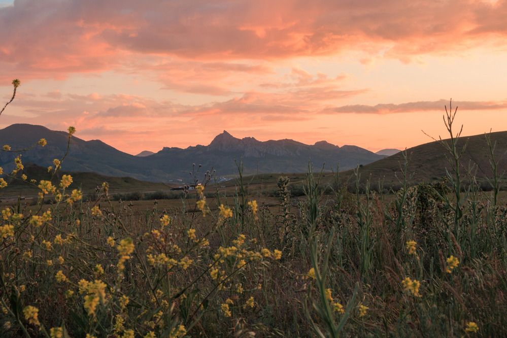 Фотография автора Ярослав Качура