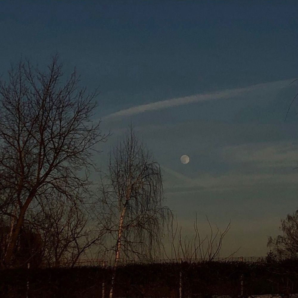 Photograph by Яна Цицилашвили