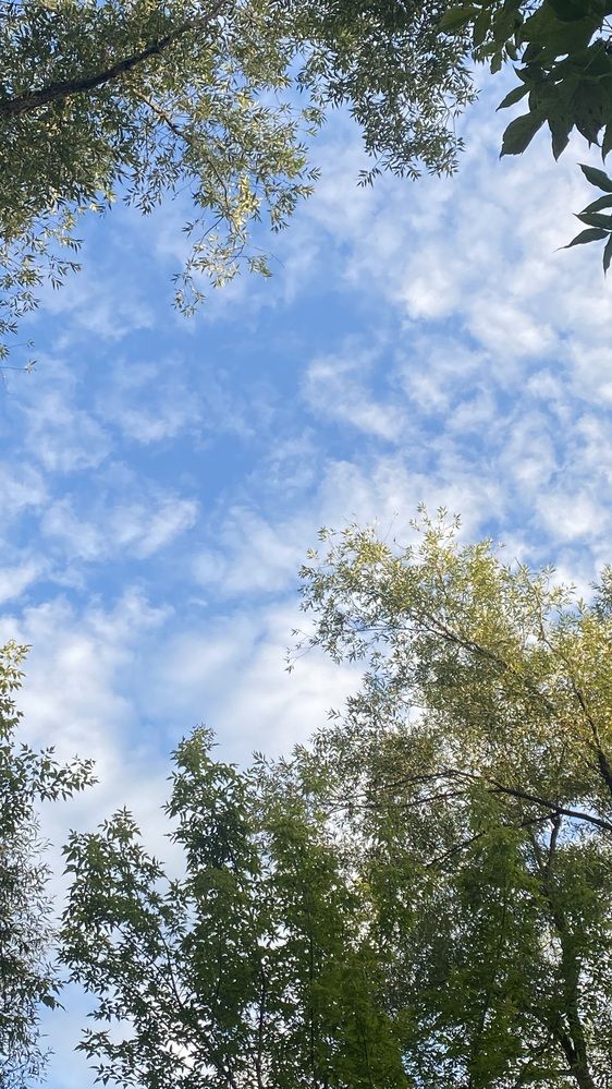 Photograph by Aleksey Mayorov