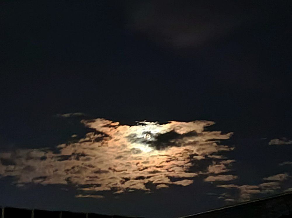 Photograph by Майя Стащенко
