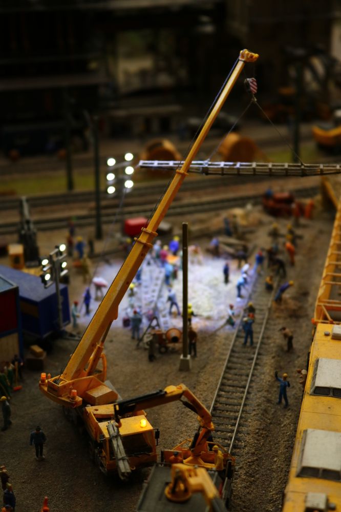 Photograph by Светлана Шуткова