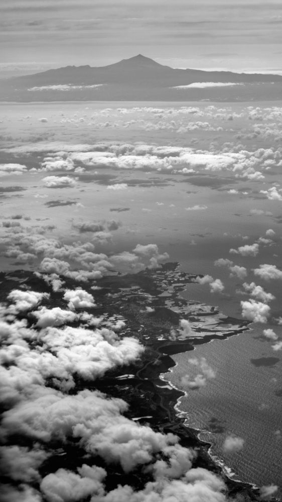 Photograph by Luis Francisco Bravo Olazabal