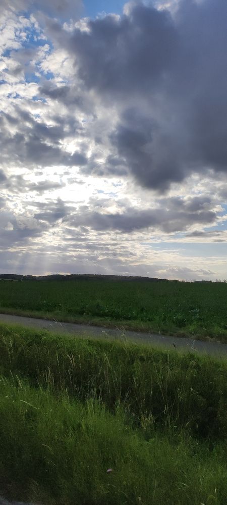 Photograph by Olga Dz