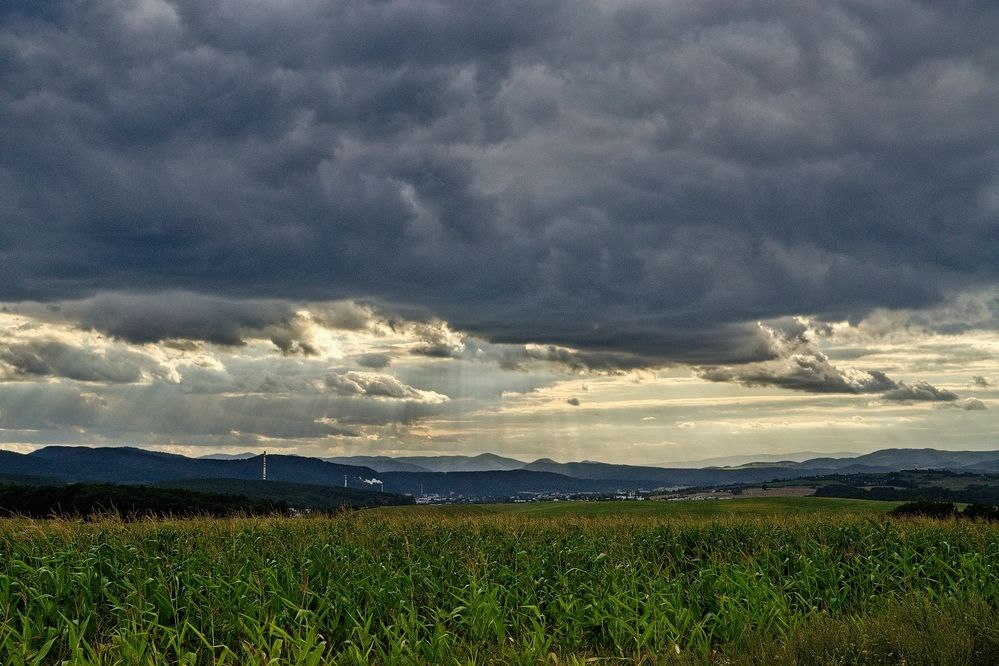 Photograph by Milan Cernak