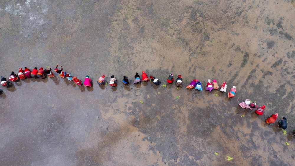 Фотография автора Bhim Bahadur Kalyal