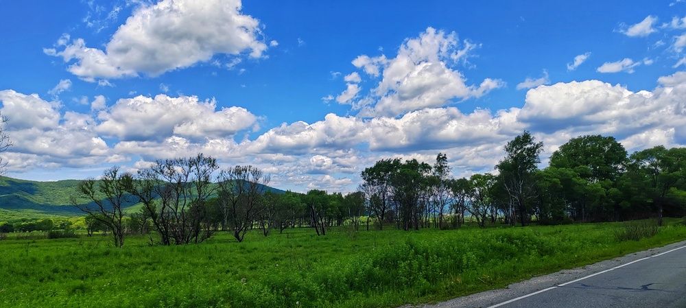 Фотография автора Вероника Жуковец