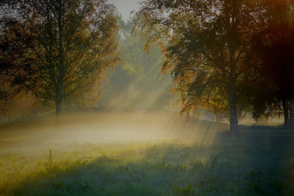 Фотография автора Яна Егорова