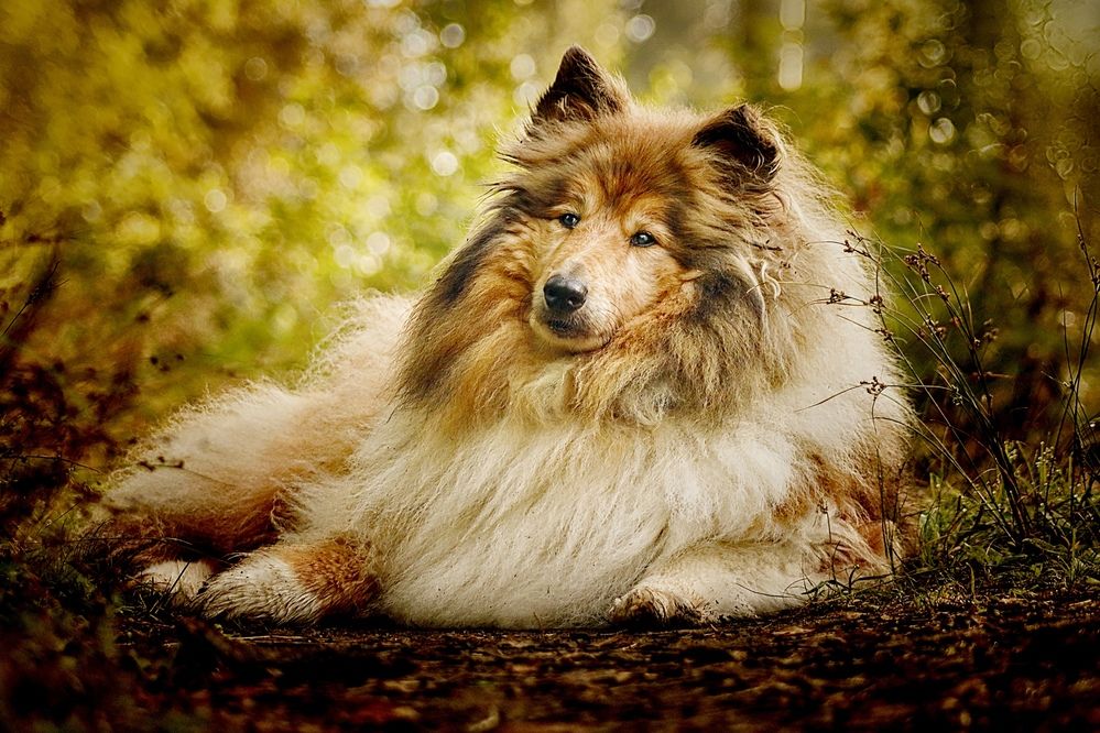 Photograph by Яна Егорова