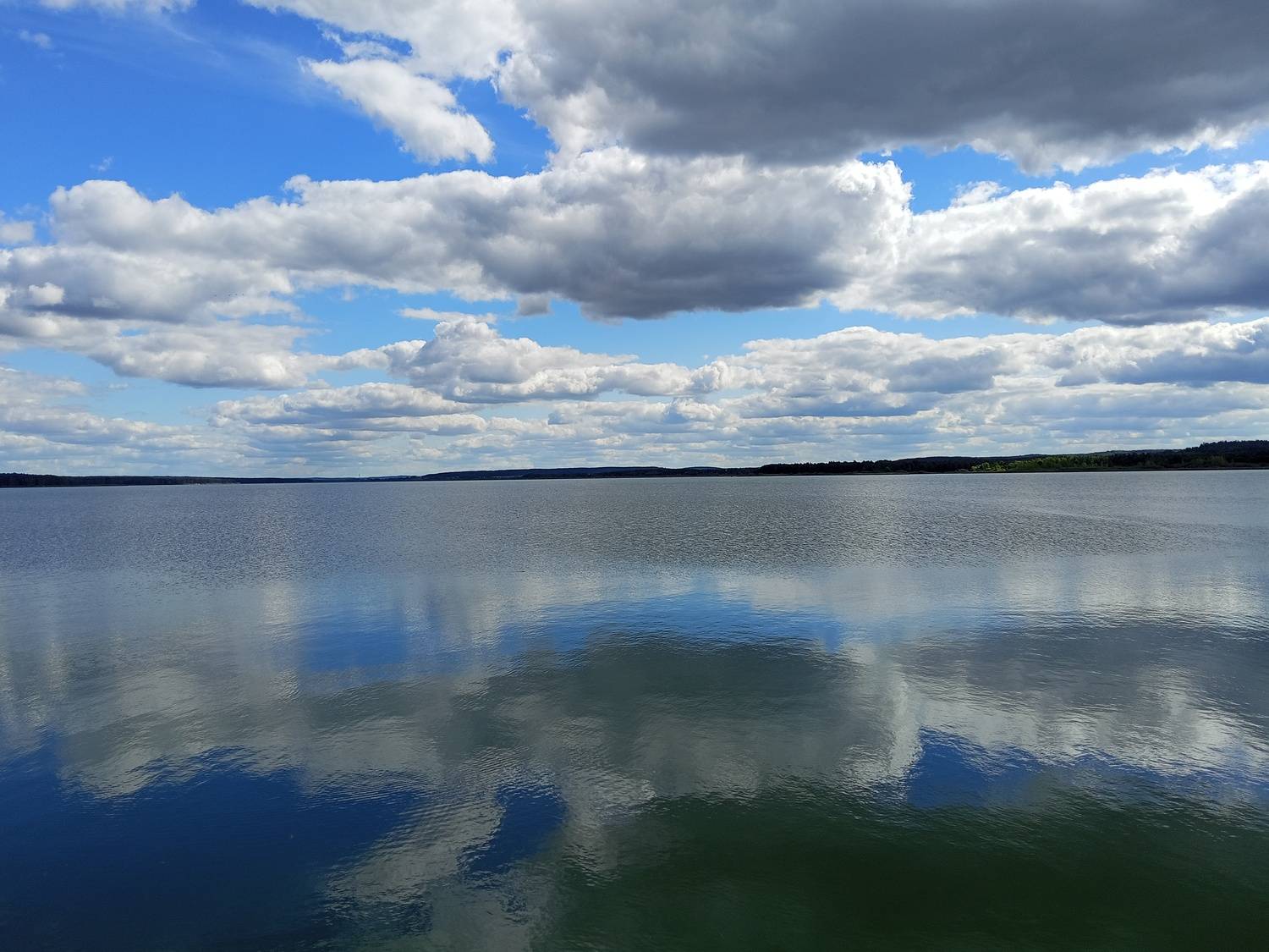 Photo #12545339