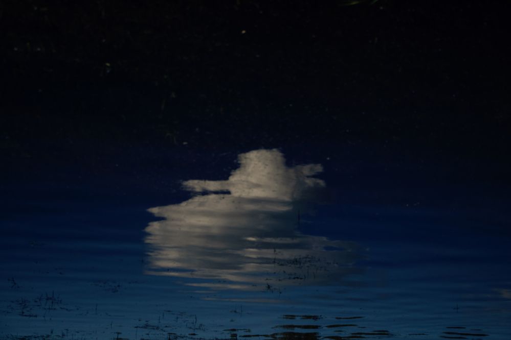 Photograph by Юлия Гринвальд