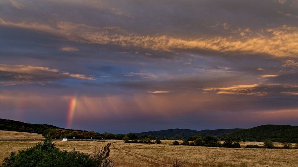 Photograph by Milan Cernak