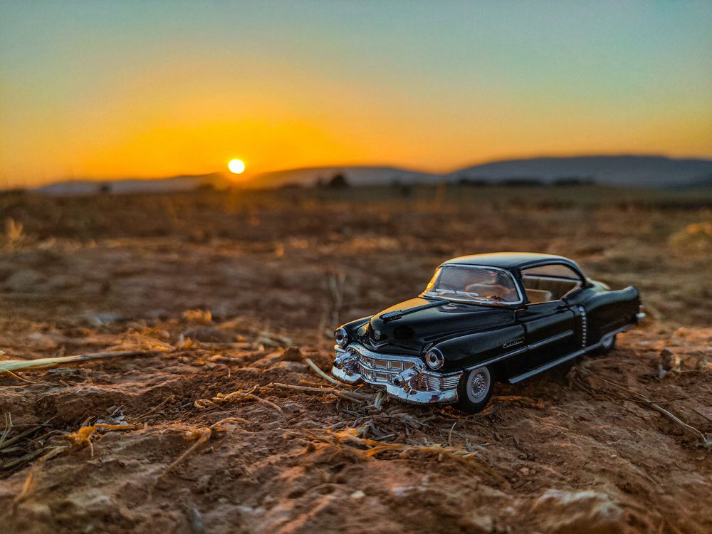 Фотография автора sadouni zakaria