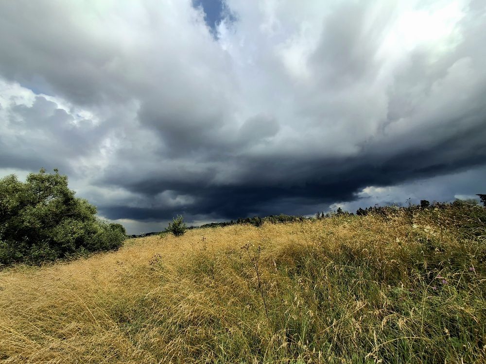 Photograph by Полина Зайцева