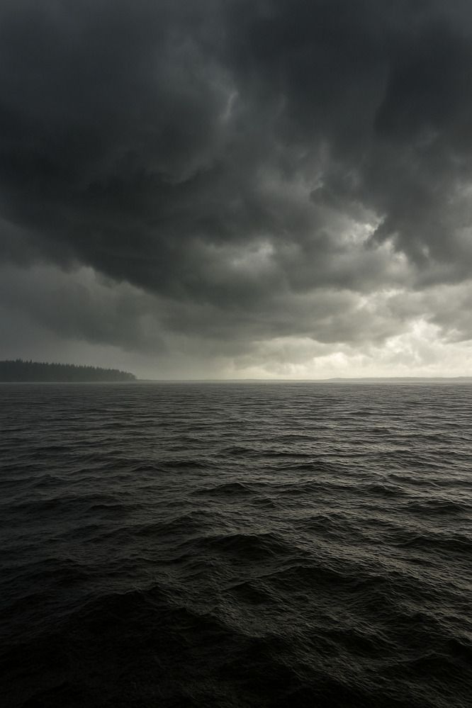 Фотография автора Elena Istomina