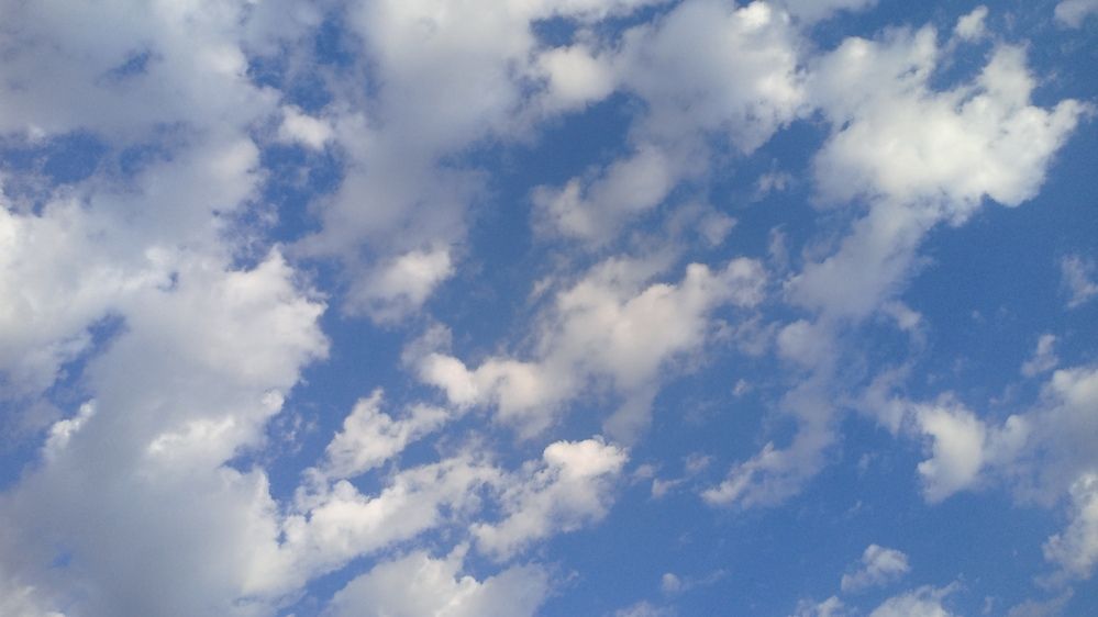 Photo #12545425