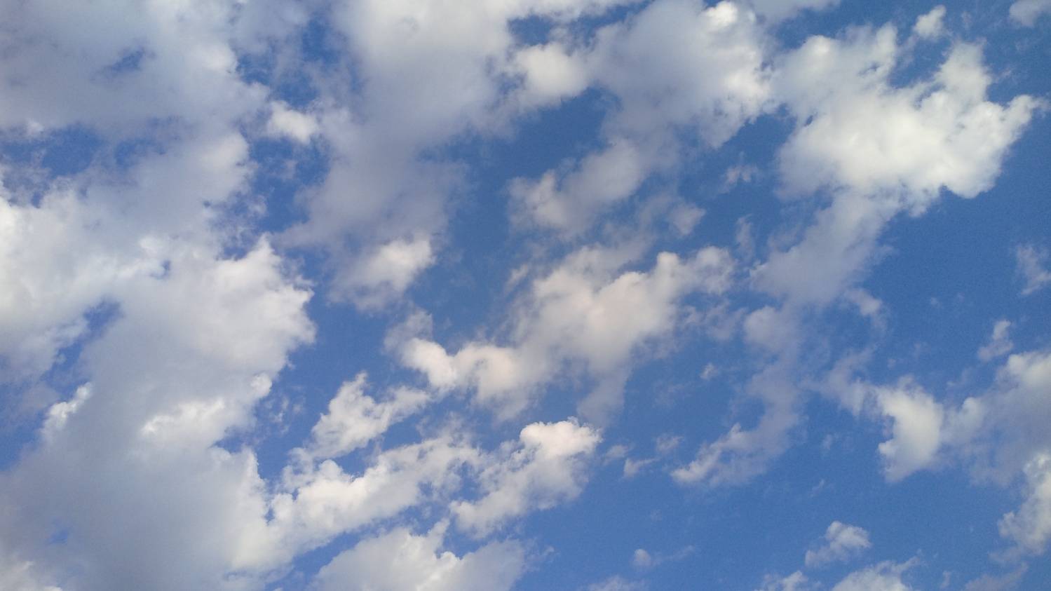 Photo #12545425