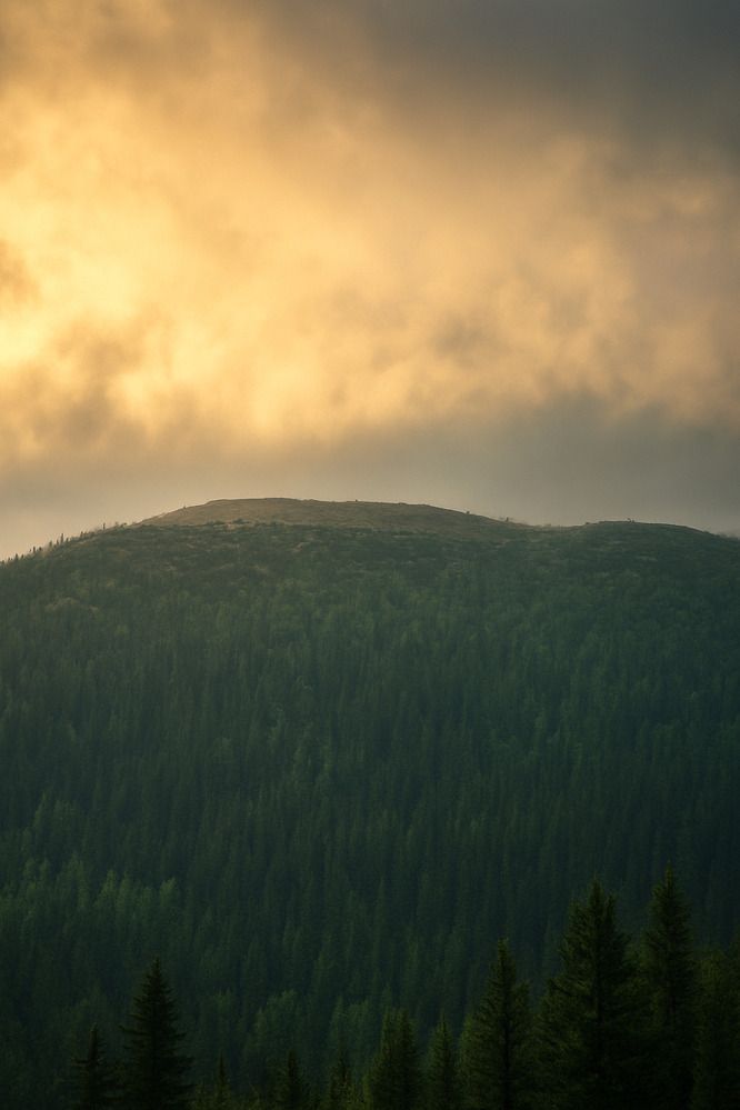 Фотография автора Елена Истомина