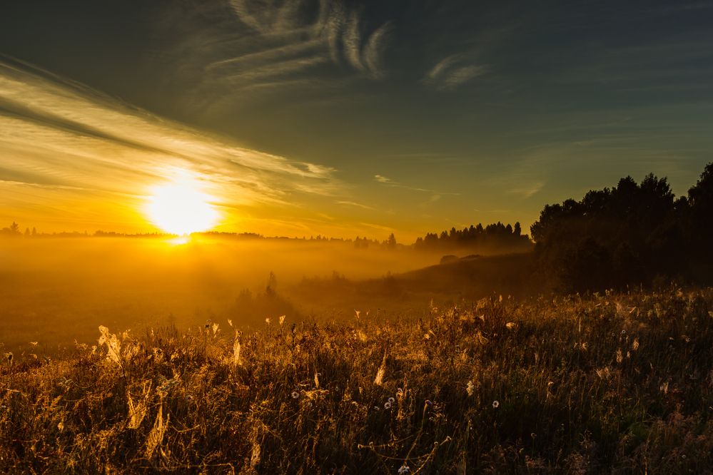 Photograph by Владимир Андреев