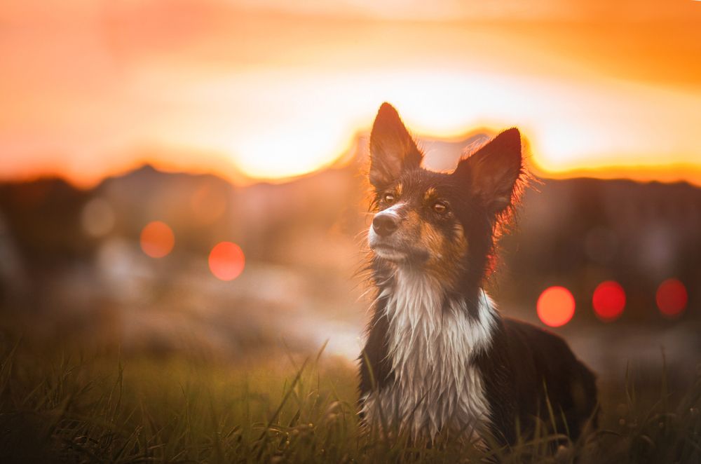 Фотография автора Kira Demina