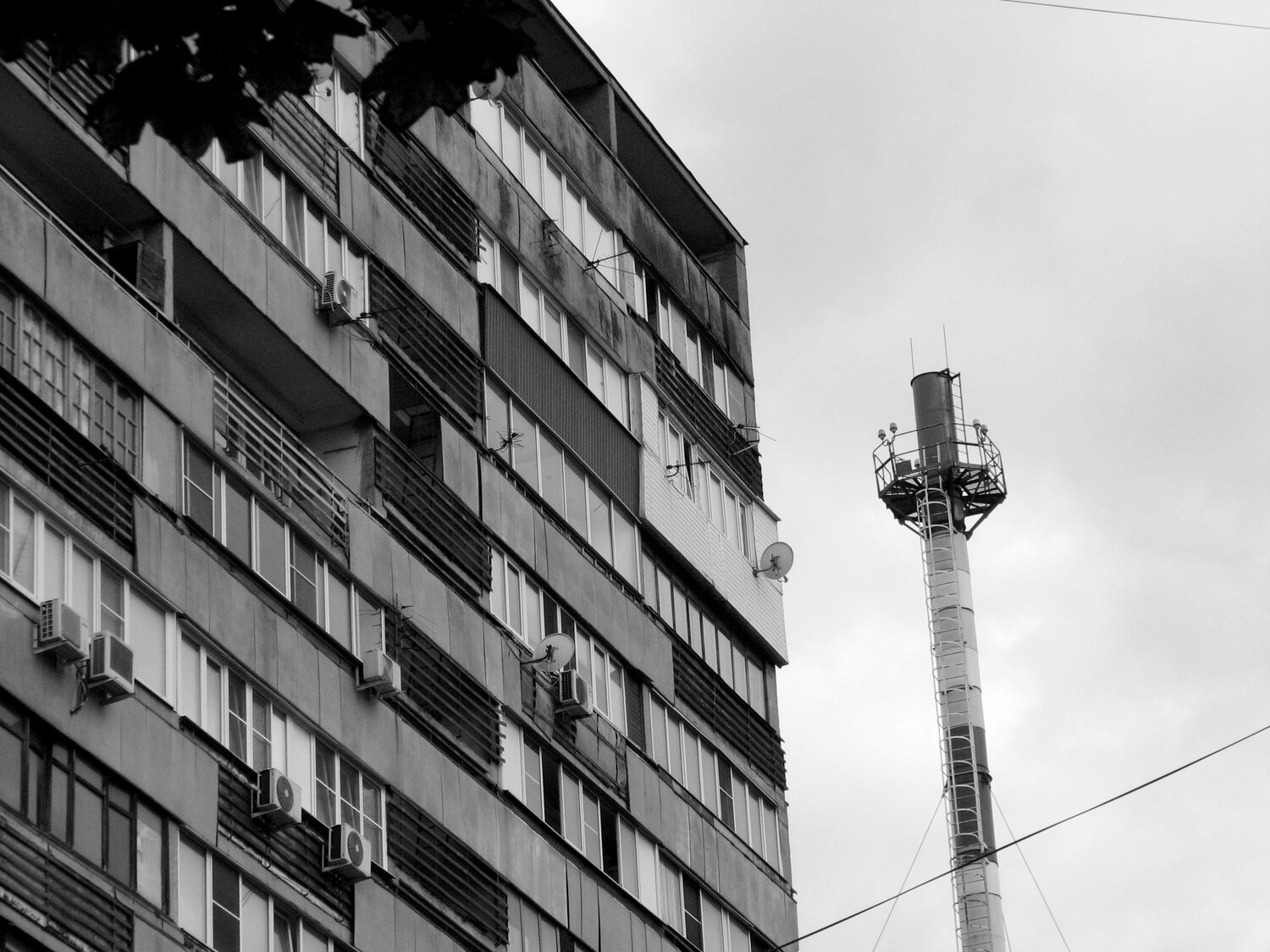 Photo #12545534