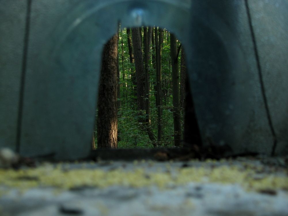 Photograph by nik_bry