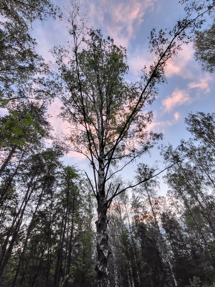 Photograph by Елена Фетисова