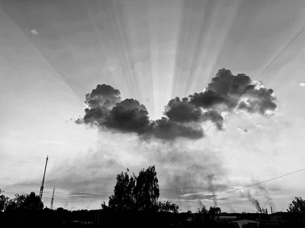 Photograph by Мария Тёмкина