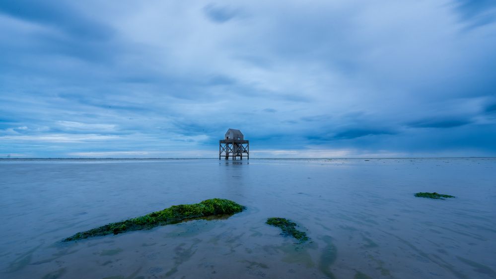 Photograph by Vignesh Gurumoorthy