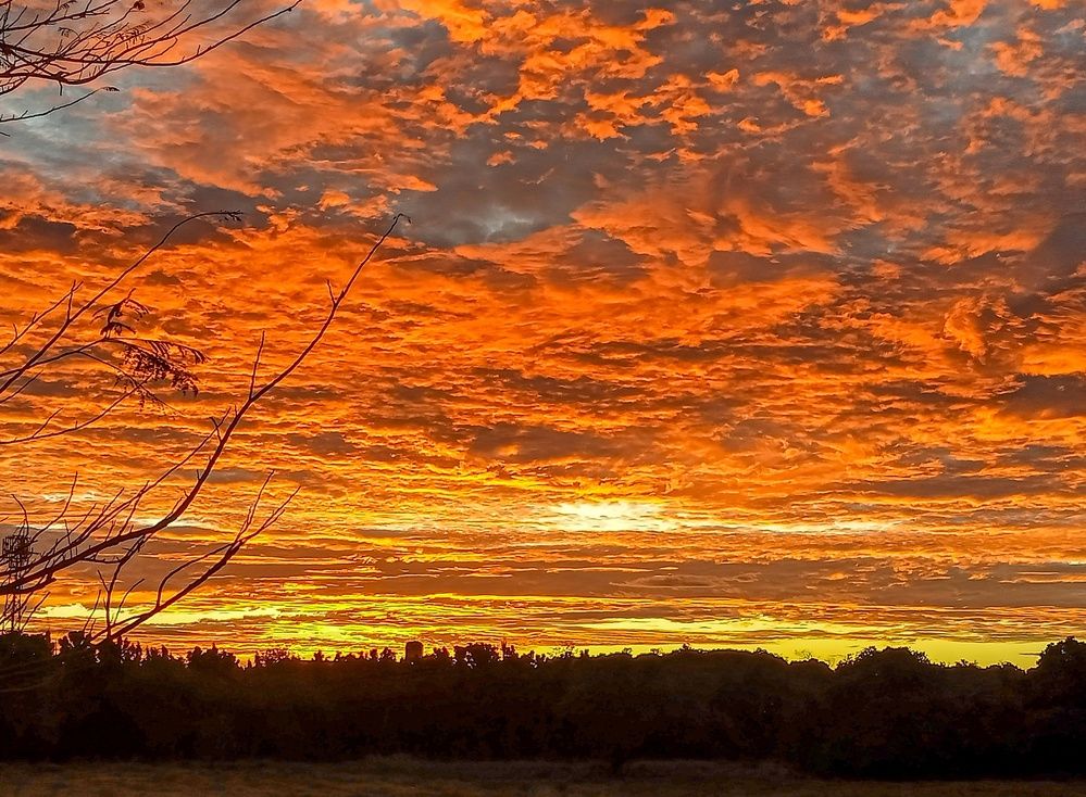 Photograph by Emmanuel Garcia