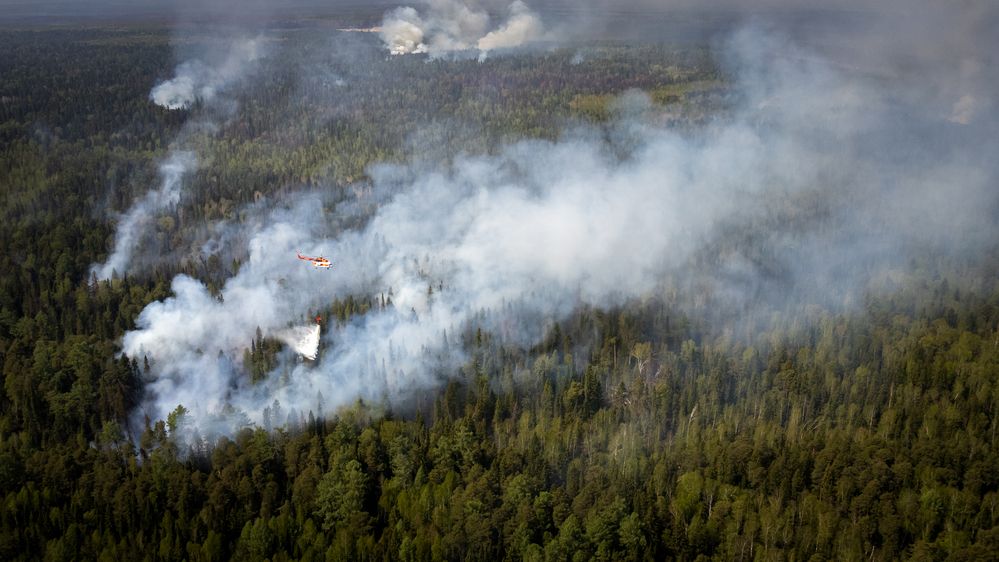 Photograph by Александр Рудный