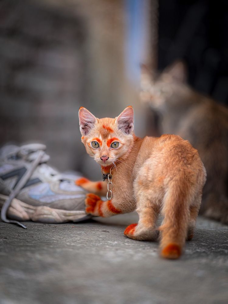 Photograph by AL AMIN MD