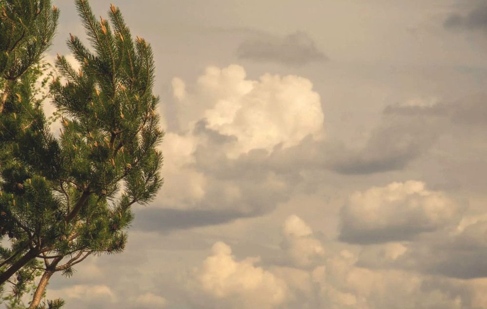 Photograph by Оксана Батракова