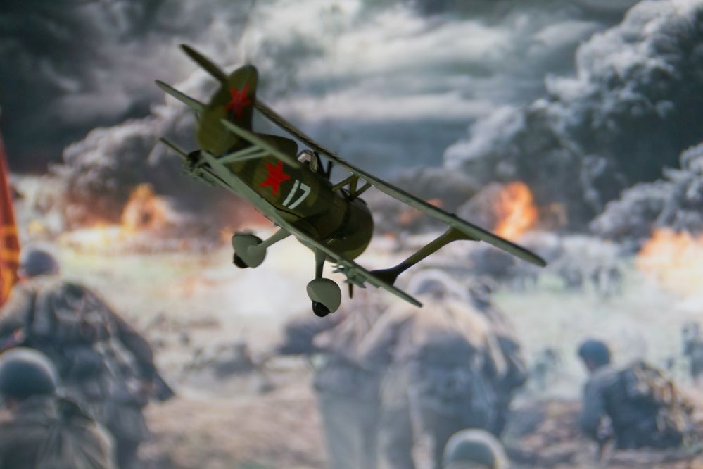 Фотография автора Юлия Кранина