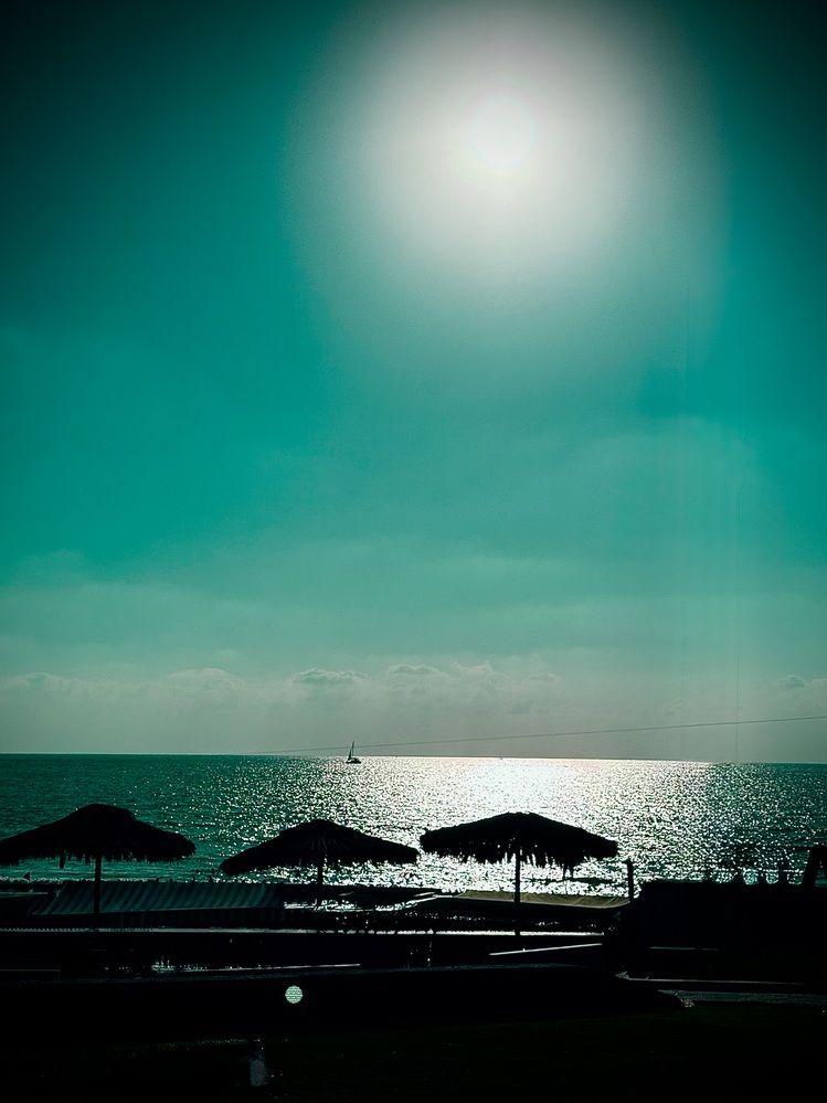 Фотография автора Алла Киселева