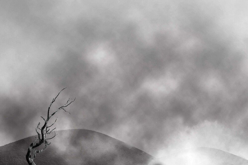 Photograph by Ava Nasiri