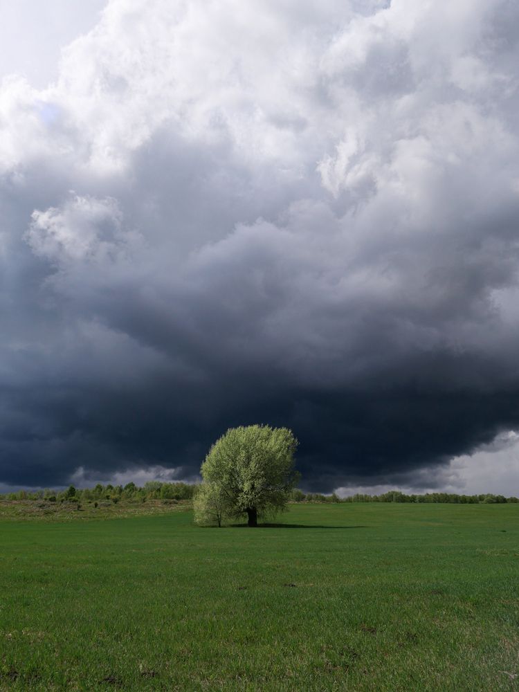 Photograph by Marina Gorbatova