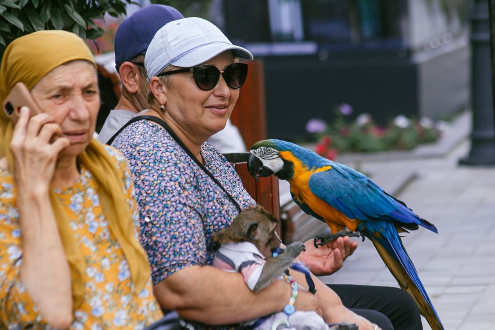 Photograph by Анна Лукина