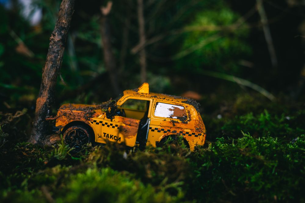 Photograph by Мария Крюкова