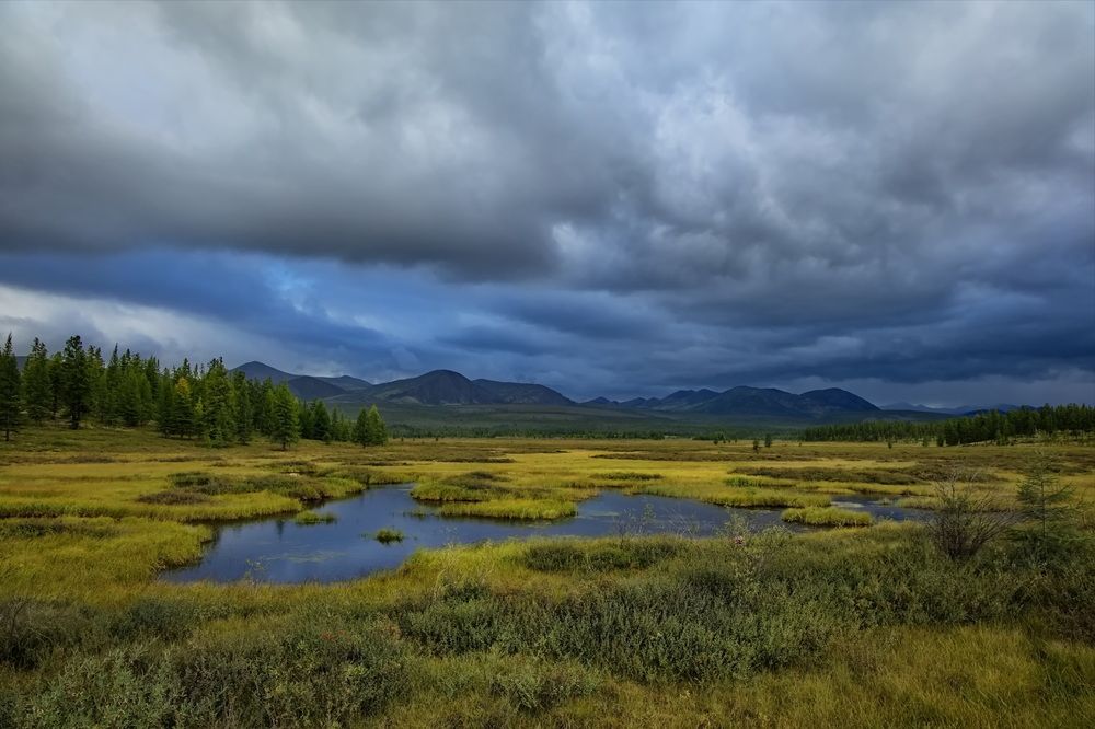 Photograph by Олег Раков