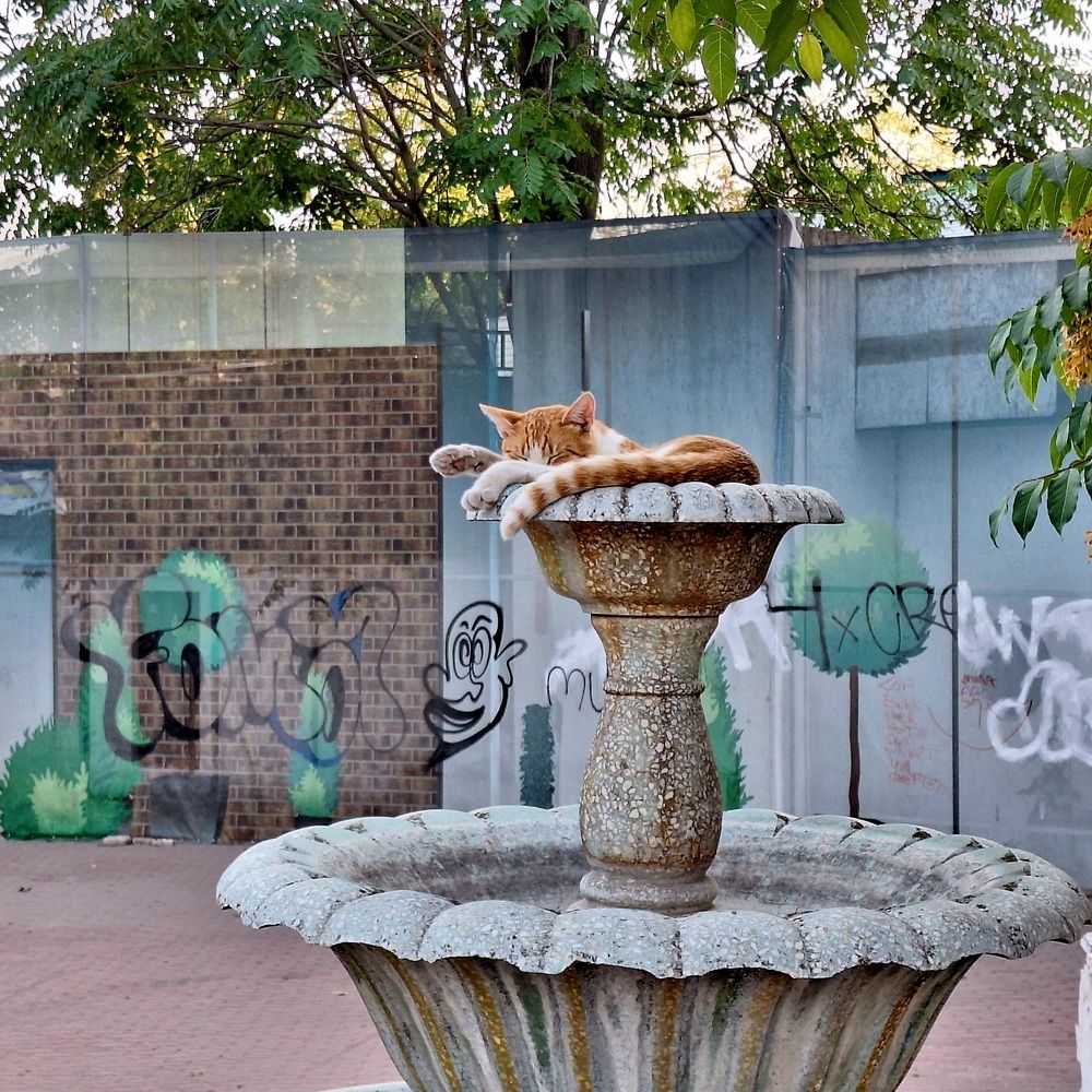 Photograph by Ирина Коржова
