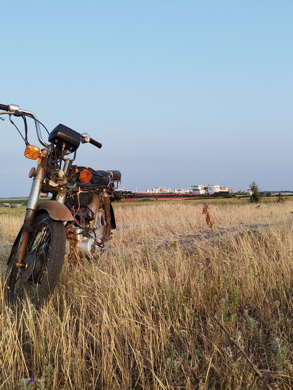 Photo #12546097