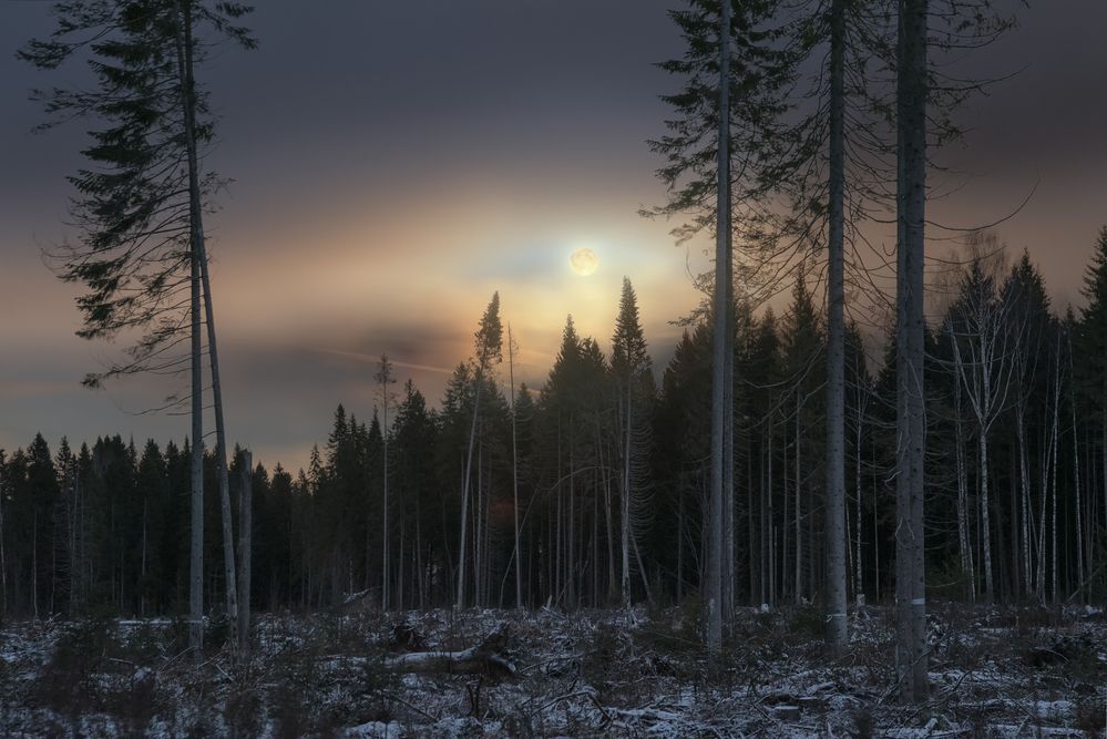 Photograph by Смольский Евгений