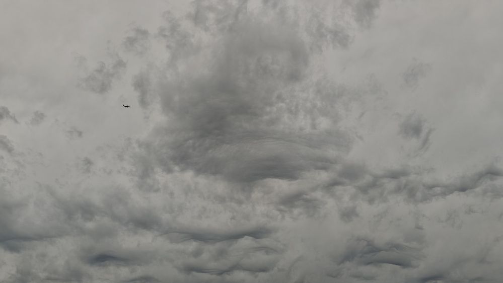 Photograph by Елена Анденко