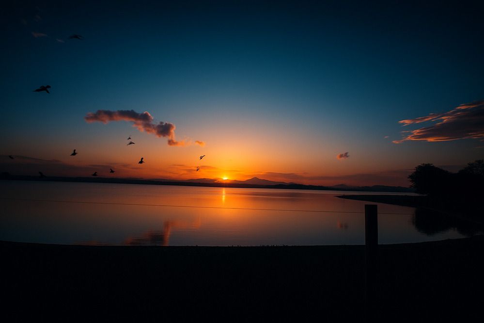 Photograph by Dewindu H. Fernando