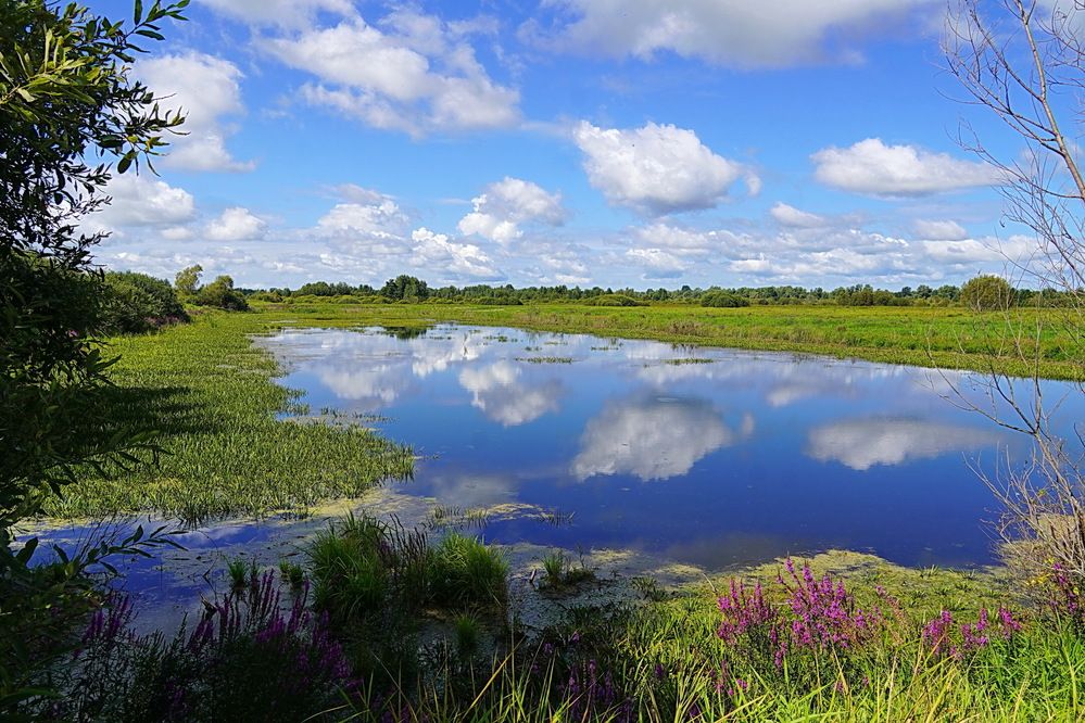 Photograph by Галина Кан